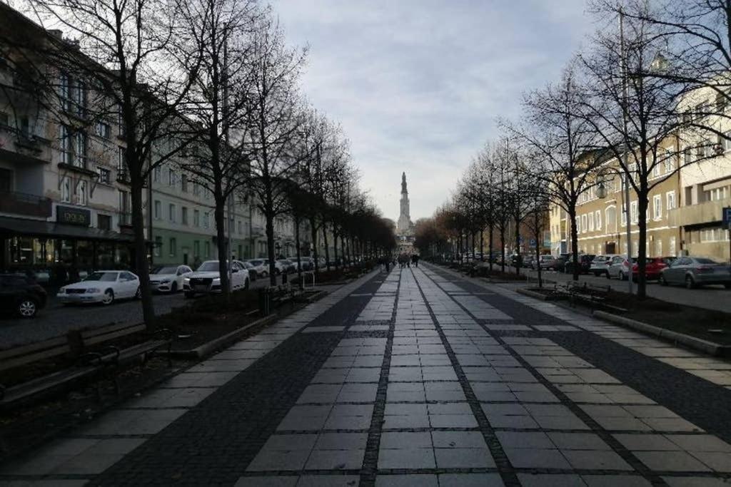 Apartament Lucy - Scisle Centrum Czestochowy Częstochowa Extérieur photo